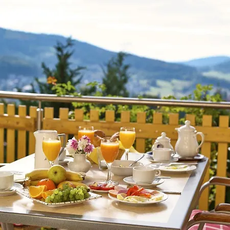Haus Talblick 3* Bodenmais