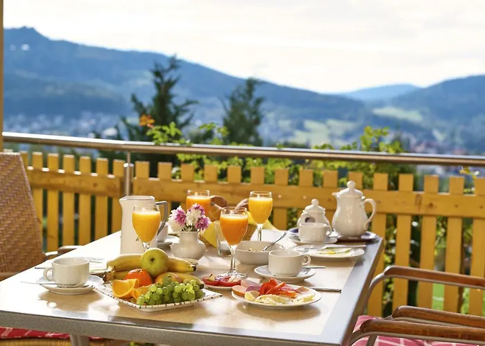 Haus Talblick 3* Bodenmais
